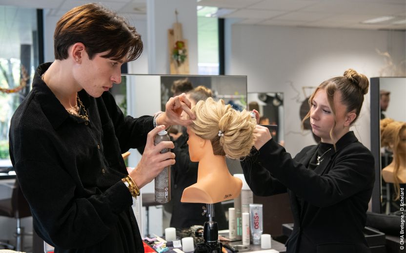 Brevet Professionnel Coiffure