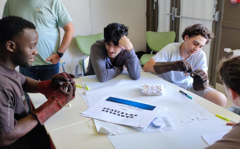 CMA Formation Vannes - Sensibilisation inclusion handicap